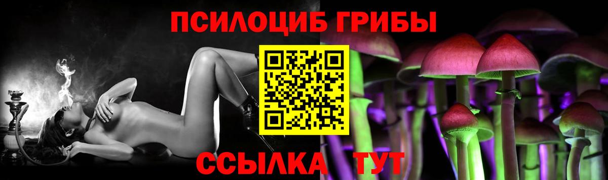 цены наркотик  Псилоцибиновые грибы Psilocybe  Качканар  Вход с VPN  Псилоцибиновые грибы Psilocybe 